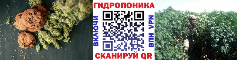 где найти   Холм  Еда ТГК конопля 