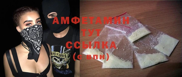 крисы Мегион