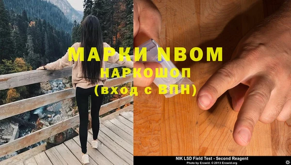 крисы Мегион