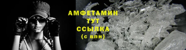 крисы Мегион