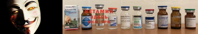 крисы Мегион