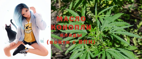 крисы Мегион