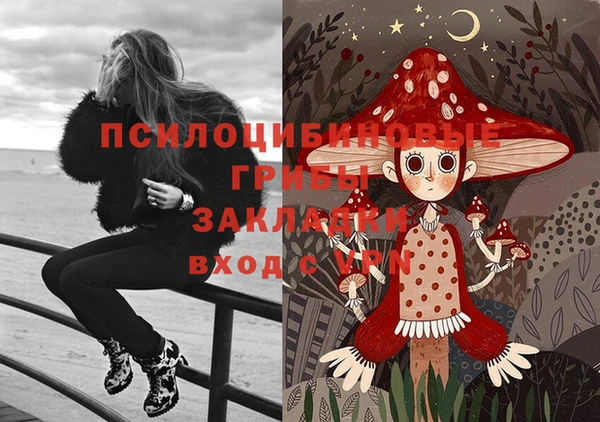 крисы Мегион