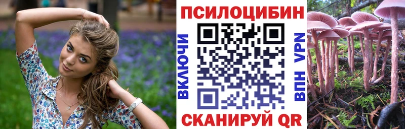Галлюциногенные грибы Cubensis  Холм 